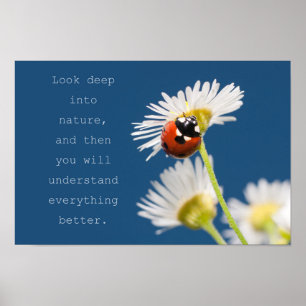Look into Nature Poster