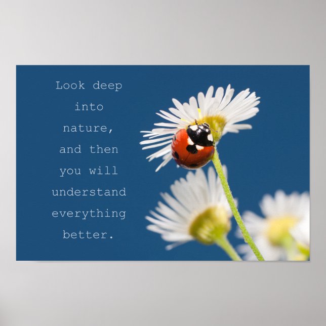 Look into Nature Poster (Front)