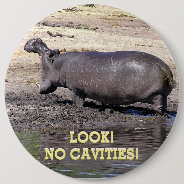 "LOOK! NO CAVITIES!" HIPPO WITH MOUTH WIDE OPEN 6 INCH ROUND BUTTON (Front)