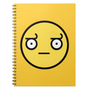 Look of Disapproval Face Notebook
