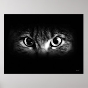 look poster