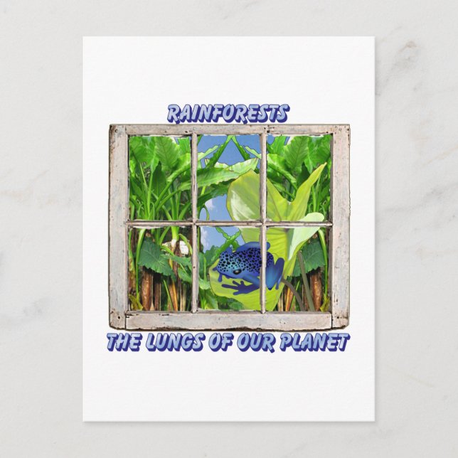 Look Through Any Window Postcard (Front)