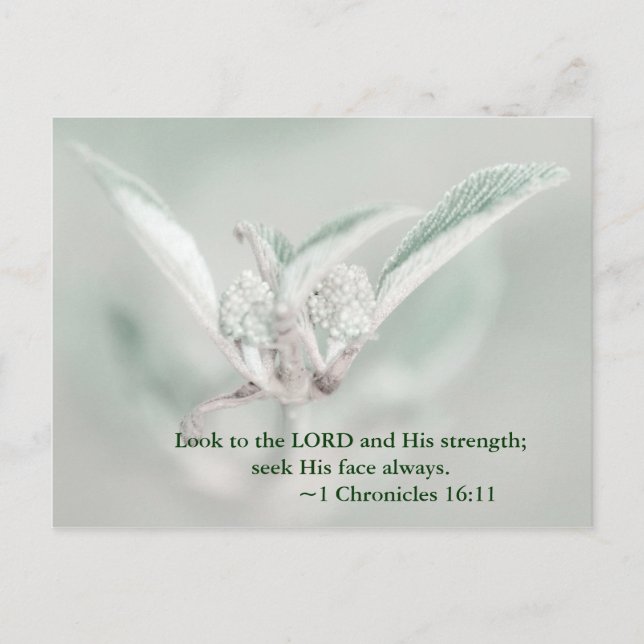 Look to the LORD and his strength; seek his face a Postcard (Front)