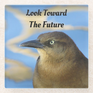Look Toward Future Blackbird Stare Graduation Glass Coaster