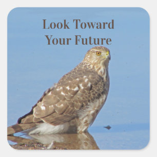 Look Toward Future Wild Raptor Bird Hawk Graduate Square Sticker
