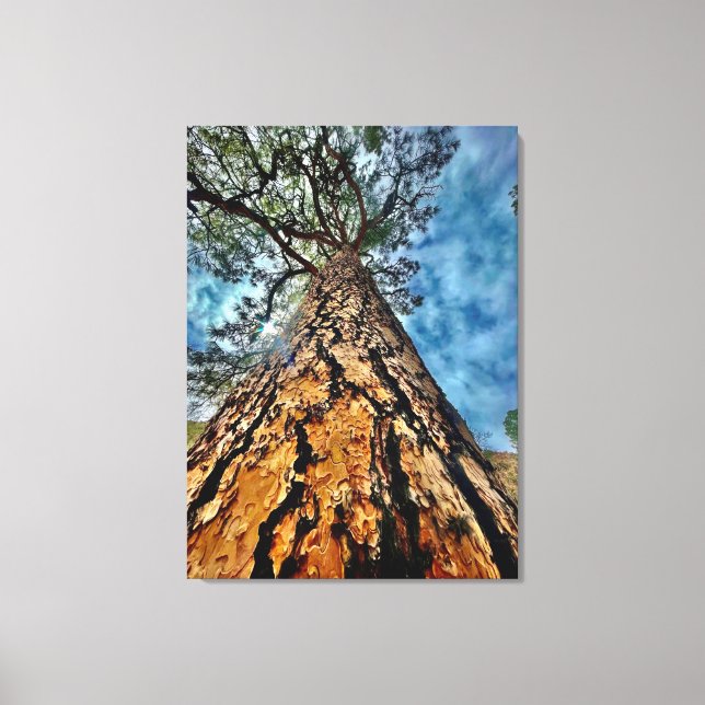 Look up! canvas print (Front)
