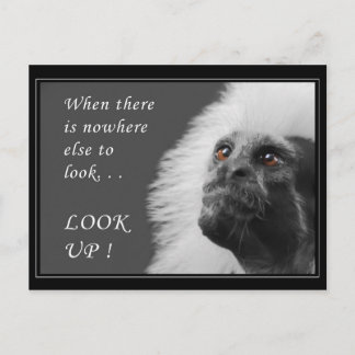 Look up postcard