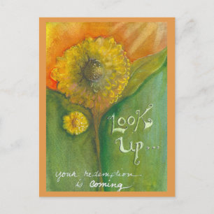 Look Up Postcard