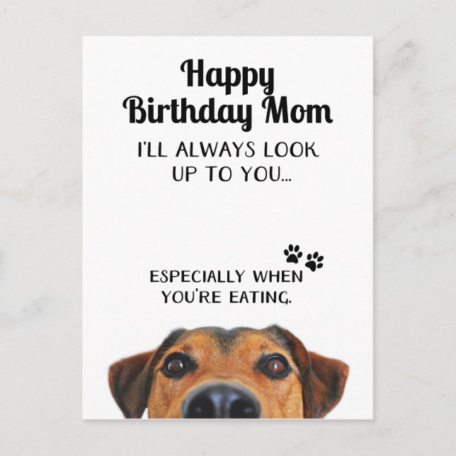 Look Up To You Funny Happy Birthday Mom Postcard (Front)