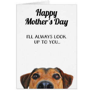 Look Up To You Funny Mother's Day Card From Dog