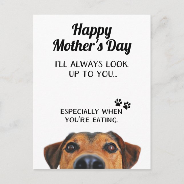 Look Up To You Funny Mothers Day PostCard From Dog (Front)