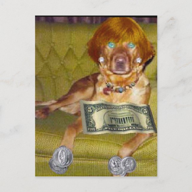 LOOK WHAT I DO FOR MONEY POSTCARD (Front)
