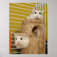Look, who's staring at you? (poster)