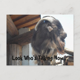 Look Who's Talking Now... Postcard