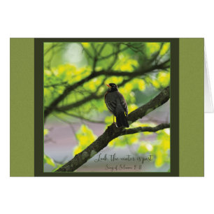 Look winter is past  Parakaleo note card