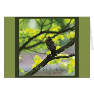 Look winter is past Parakaleo note card