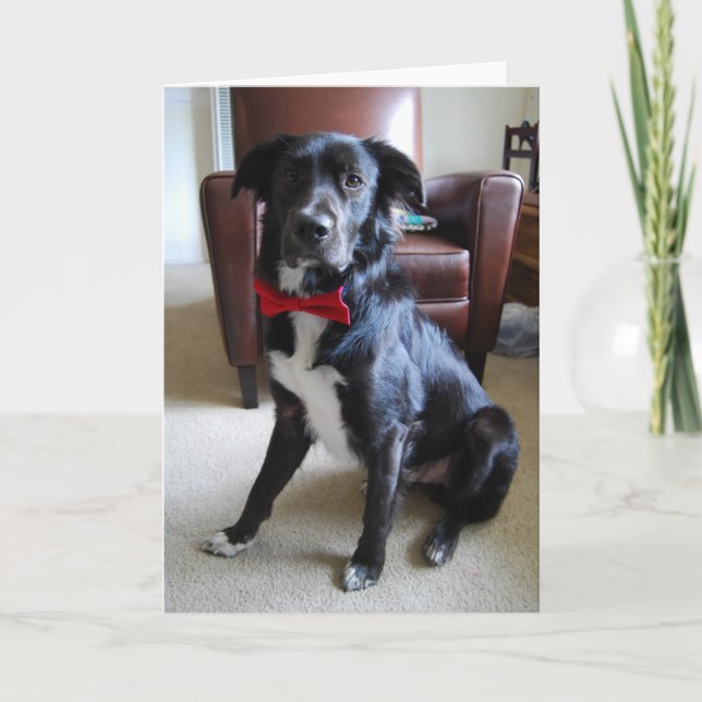 Lookin' Fab Card (Front)