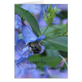 lookin pour quelque chose douce ? ?