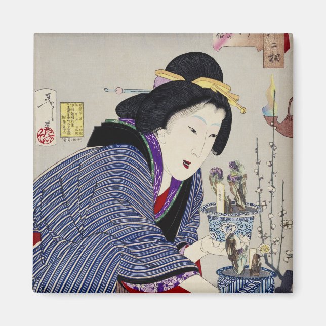 Looking as if She Wants to Change: The Appearance Magnet (Front)