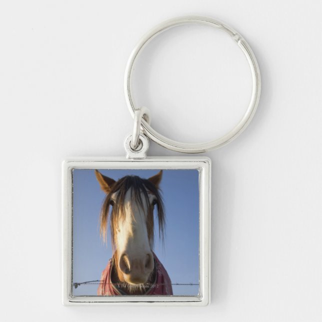 Looking at the camera keychain (Front)