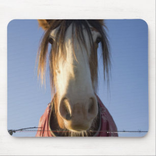 Looking at the camera mouse pad