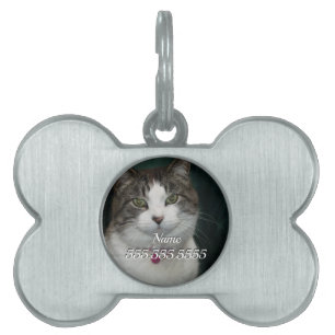 Looking at You Looking at Me Pet Tag