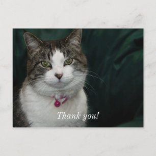 Looking at You Looking at Me Thank You Postcard