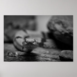 looking at you poster