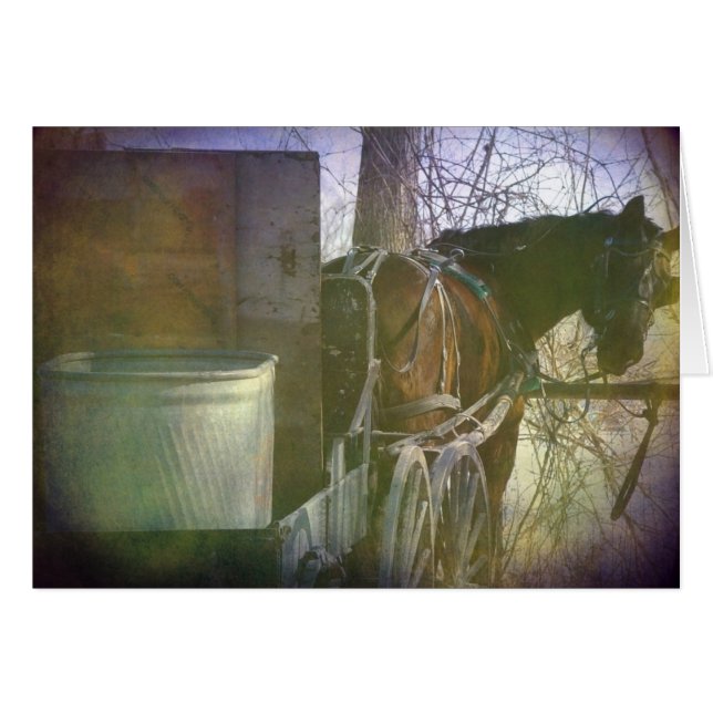 Looking Back (Front Horizontal)