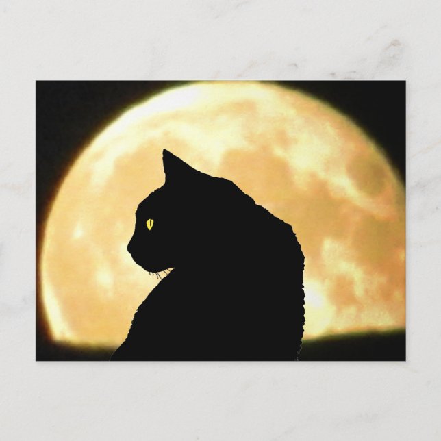 Looking Back Black Cat and Full Moon Postcard (Front)