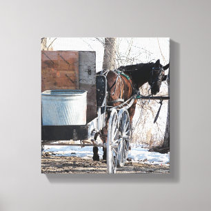 Looking Back Canvas Print