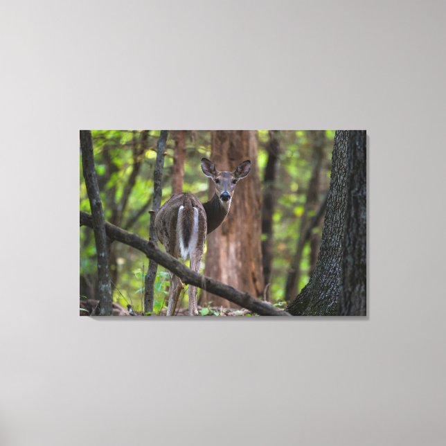 Looking Back Painterly Canvas Print (Front)