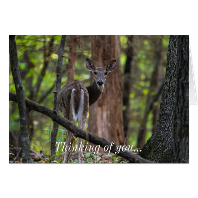 Looking Back Painterly Thinking Of You Card (Front Horizontal)
