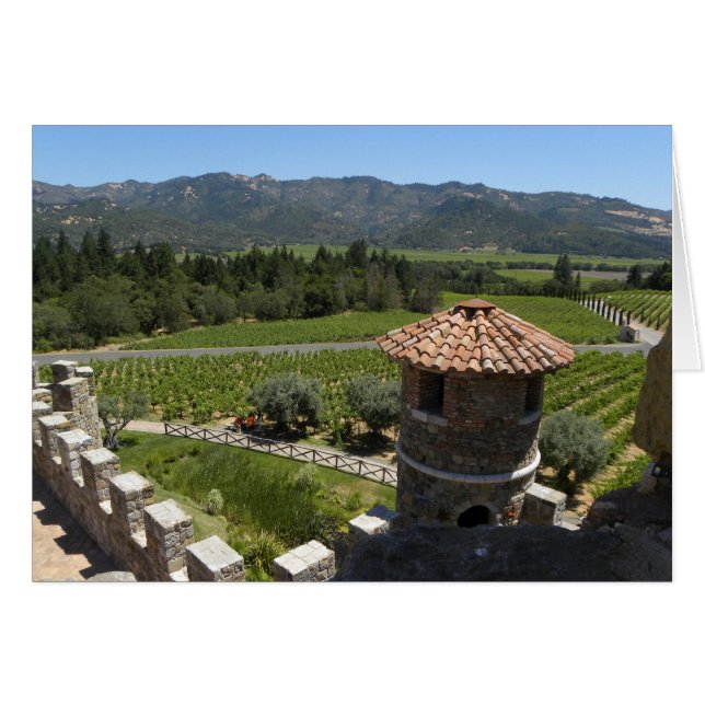 Looking down from the Castle (Front Horizontal)