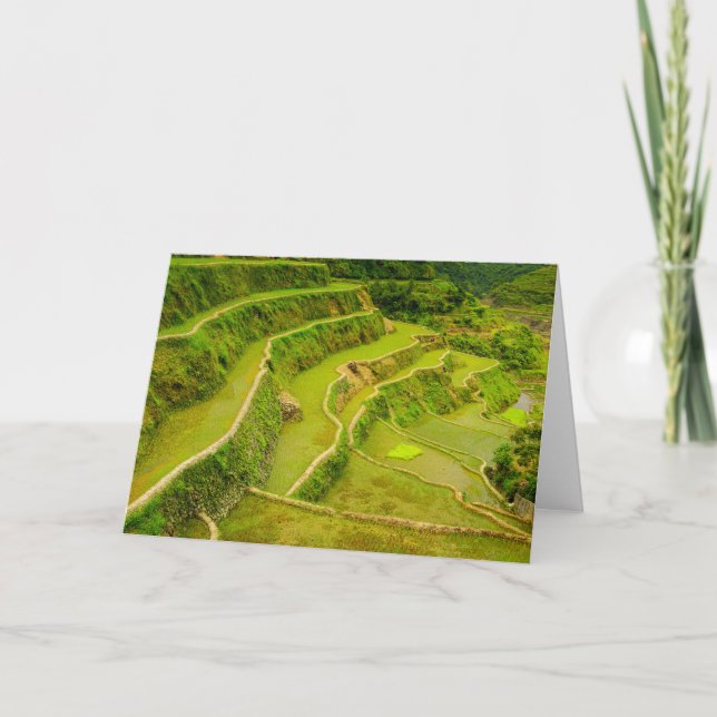 Looking Down On Rice Fields Card (Front)