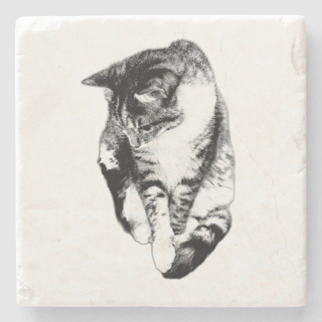 Looking Down Tabby Cat Monochrome Coaster (Front)