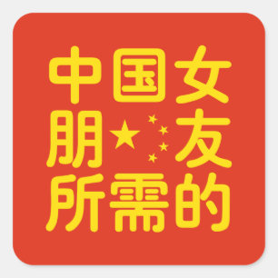 Looking for a Chinese Girlfriend ~ Hanzi Language Square Sticker