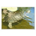 Looking For A Coo lSpot