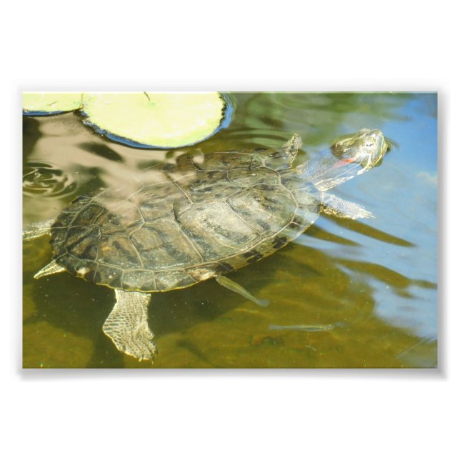 Looking For A Coo lSpot Photo Print (Front)