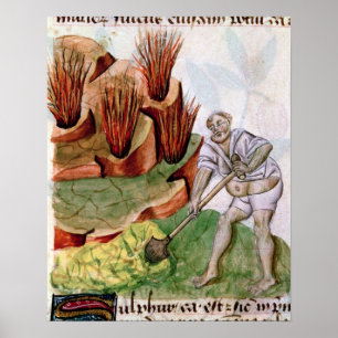 Looking for Sulphur,  Dioscorides' 'De Herbis' Poster