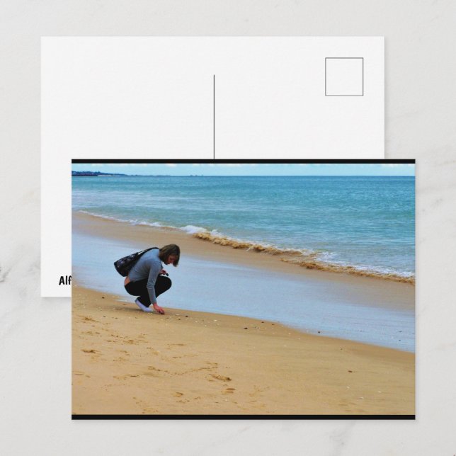 Looking for the Perfect Seashell Postcard (Front/Back)
