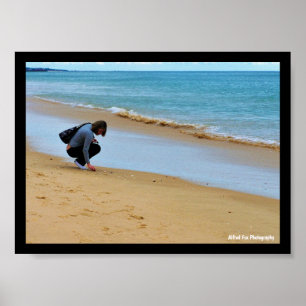 Looking for the Perfect Seashell Poster