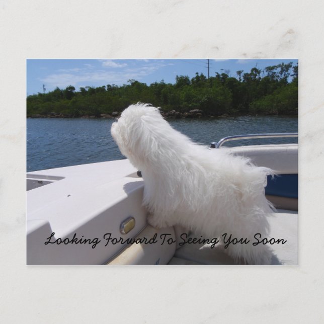 Looking Forward To Seeing You Soon Postcard (Front)