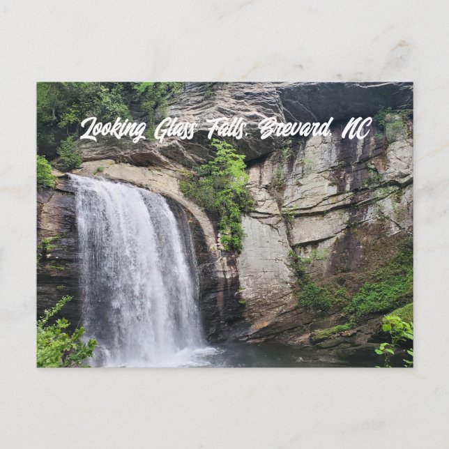 Looking Glass Falls Brevard North Carolina Postcard (Front)