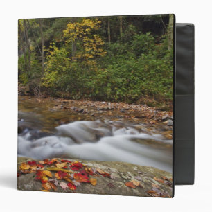 Looking Glass Falls in the Pisgah National Binder