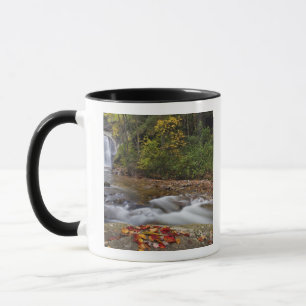 Looking Glass Falls in the Pisgah National Mug