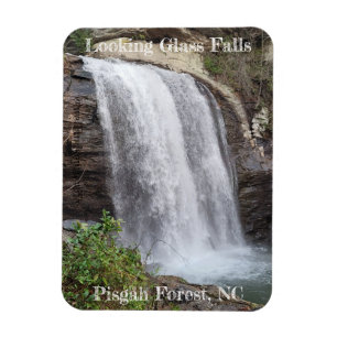 Looking Glass Falls Magnet