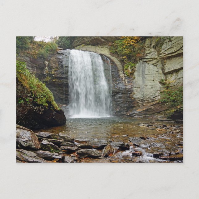 Looking Glass Falls Postcard (Front)