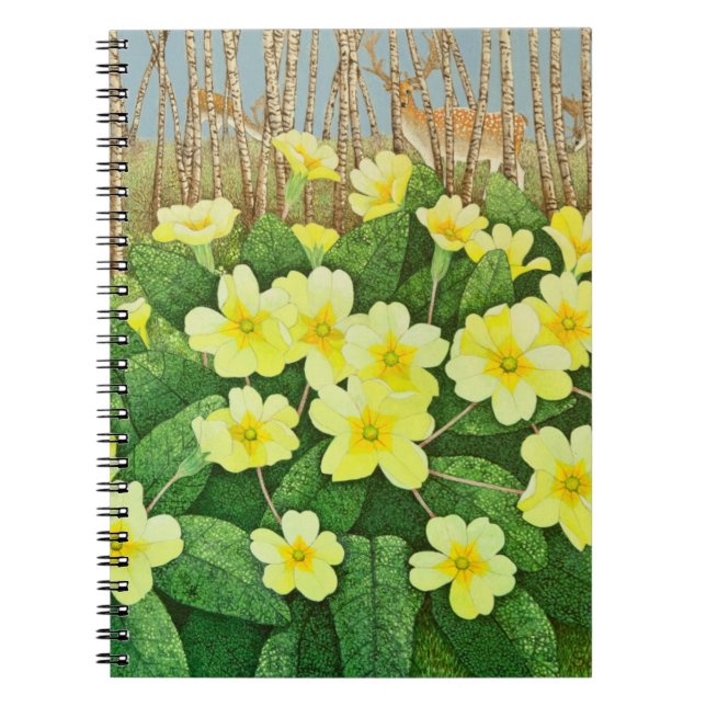 Looking Hopeful 2011 Notebook (Front)