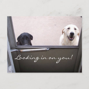 Looking in on you! postcard